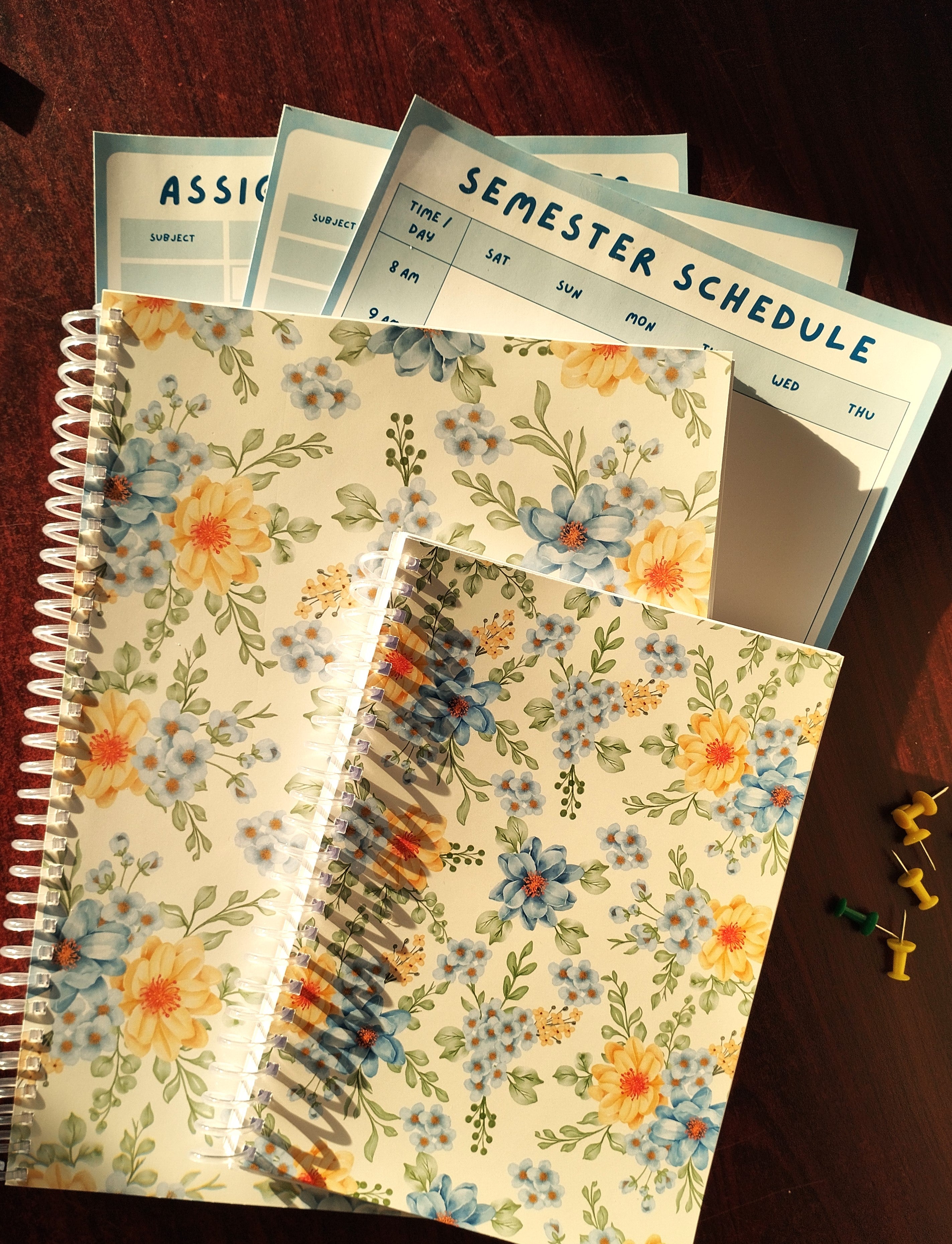 The Bloom Study Set
